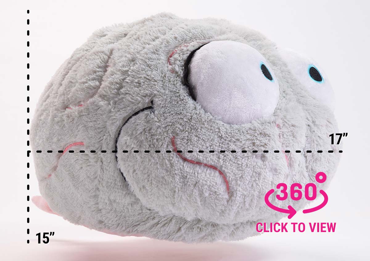 See Brain in all 360 degress of glory!