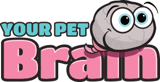 Your Pet Brain - logo